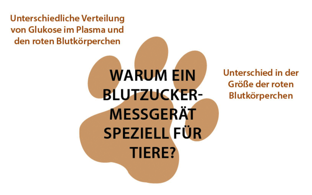 Ein Blutzuckermessgerät für Menschen ist für menschliche Blutparameter kalibriert und wertet den humanen Blutzucker aus. Das Resultat unterscheidet sich vom Resultat bei Katzen und Hunden. Um einen verlässlichen Blutzuckerwert für Ihr Haustier zu erhalten, wird ein speziell für Tiere kalibriertes Blutzuckermessgerät benötigt.