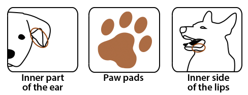 WellionVet meter for animals - sites for blood sampling  pictures